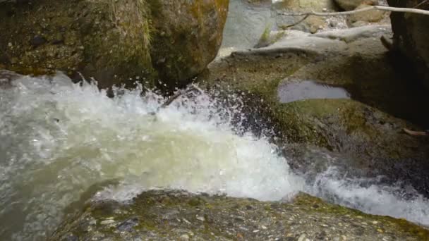 Skönhet Vattenfall Flyttar Stenar Dagtid Slowmotion — Stockvideo