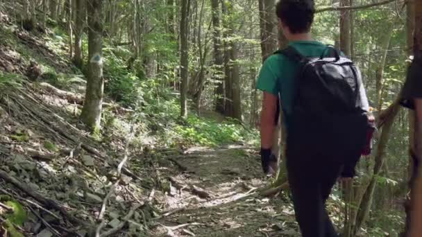 Wanderfamilie Wandert Tagsüber Grünen Sommerwald — Stockvideo