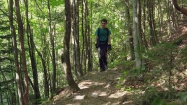 Aile gündüz yeşil yaz ormanda yürüyüş yürüyüşçü