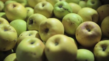 Yeşil elma, closeup görünümü yığını üzerinde kayma kamera 