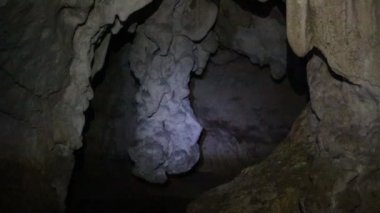 İçinde karanlık mağarada uçan yarasalar