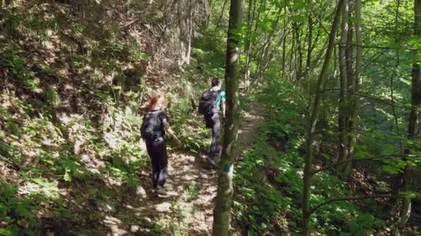 昼間緑の夏の森を歩くハイカーの家族 — ストック動画