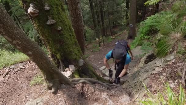 徒步登山者家庭在白天爬上绿树和植物的陡峭小径 — 图库视频影像