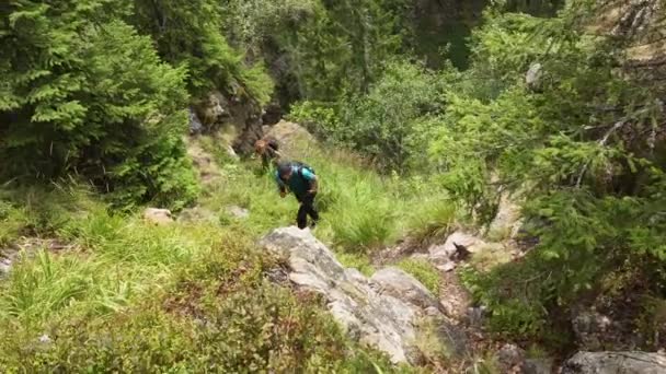 Rodina Turisty Lezení Strmá Stezka Obklopený Zelenými Stromy Rostliny Dne — Stock video