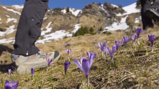 Wanderfamilie Klettert Tagsüber Auf Verschneiten Berg — Stockvideo