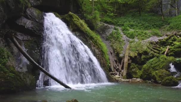 View Beauty Fan Waterfall Surrounded Green Trees Plants — Stock Video