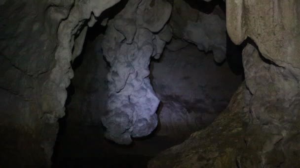 Chauves Souris Volant Dans Obscurité Dans Grotte — Video