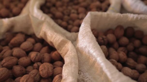 Vista Cerca Del Patrón Nueces Surtidos Cámara Deslizándose Por Encima — Vídeos de Stock