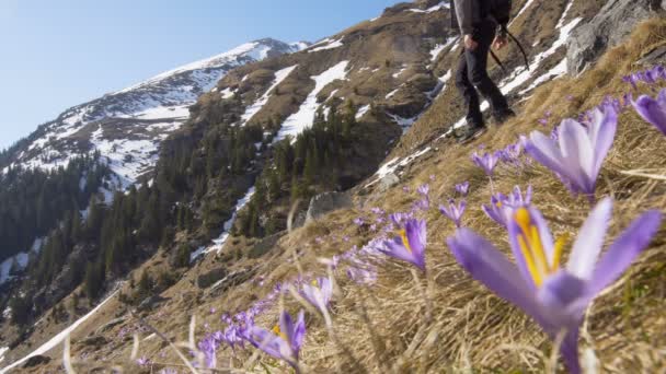 Aile Gündüzleri Karlı Dağda Tırmanma Yürüyüşçü — Stok video