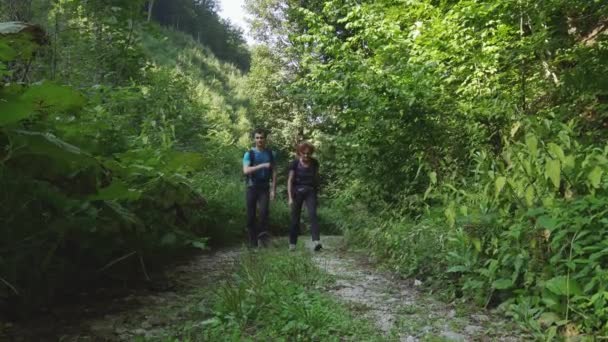 Familie Van Wandelaars Lopen Groene Zomer Bos Overdag — Stockvideo