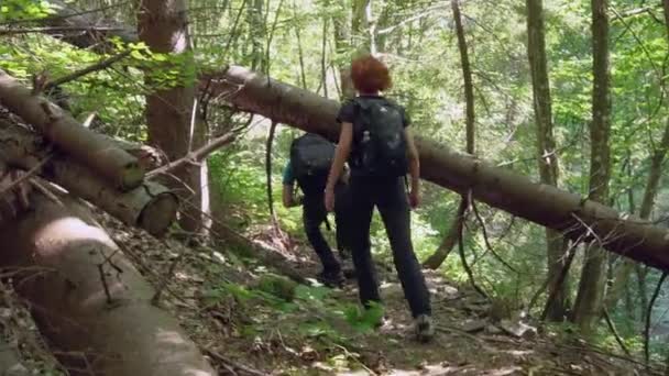 Family Hikers Walking Green Summer Forest Daytime — Stock Video