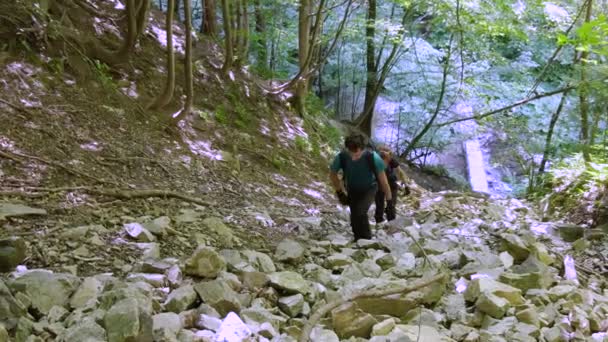 徒步登山者家庭在白天爬上绿树和植物的陡峭小径 — 图库视频影像