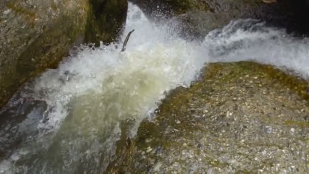 Schoonheid Waterval Verplaatsen Stenen Overdag Slow Motion — Stockvideo