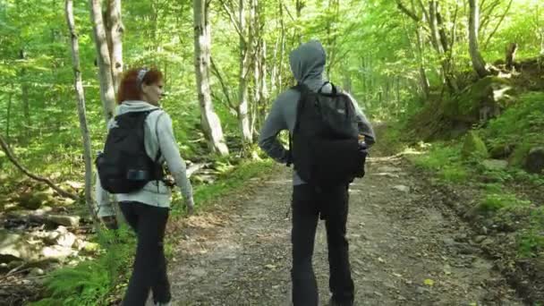 徒步旅行者家庭在绿色夏天森林在白天 — 图库视频影像
