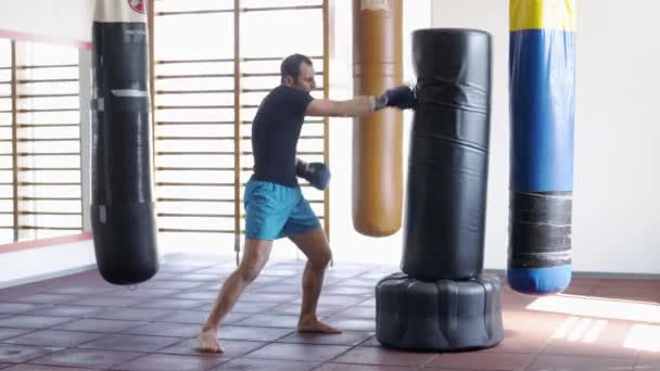 Średnim Wieku Człowiek Ciężkiej Pracy Podczas Treningu Kickboxingu Siłowni — Wideo stockowe