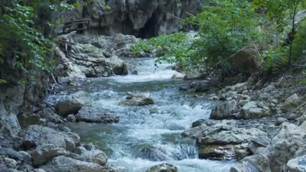 Vista Panorâmica Rio Calmo Floresta Verde Durante Dia — Vídeo de Stock