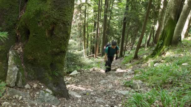 Familia Excursionistas Escalando Senderos Empinados Rodeados Árboles Plantas Verdes Durante — Vídeo de stock