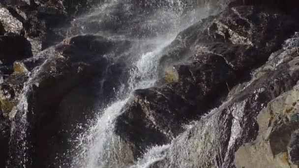 Szépség Vízesés Mozgó Kövek Nappali Lassú Mozgás — Stock videók