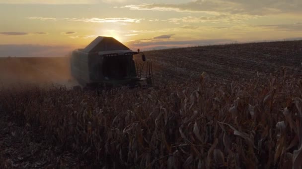 Moderne Combine Harvester Werken Veld Overdag — Stockvideo