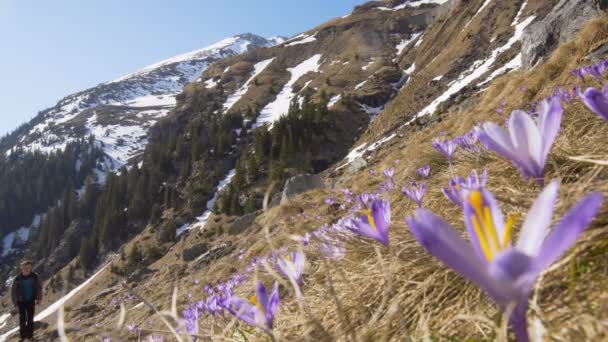 Familie Van Wandelaars Klimmen Besneeuwde Berg Overdag — Stockvideo