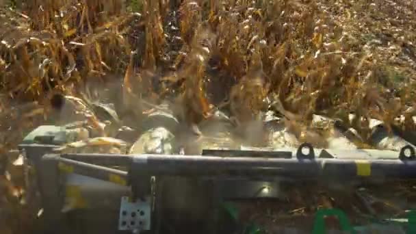 Moderne Combine Harvester Werken Veld Overdag — Stockvideo