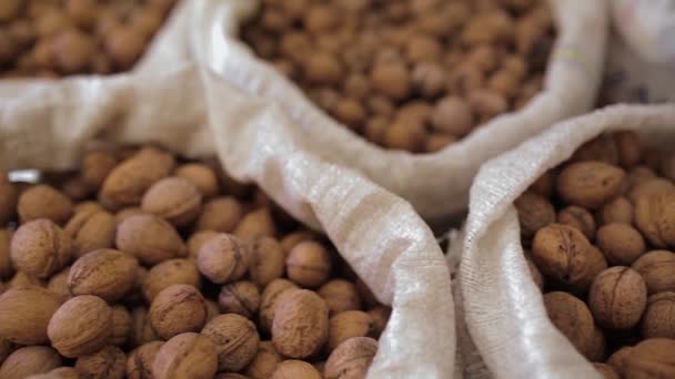 Vista Cerca Del Patrón Nueces Surtidos Cámara Deslizándose Por Encima — Vídeos de Stock