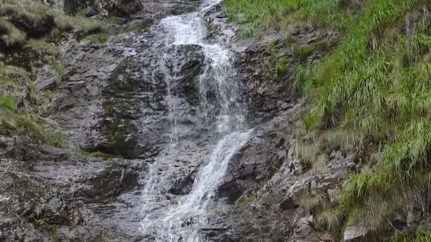 Cachoeira Beleza Movendo Sobre Pedras Durante Dia Câmera Lenta — Vídeo de Stock