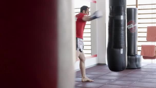 Středního Věku Člověk Tvrdě Pracuje Během Kickbox Tréninku Tělocvičně — Stock video