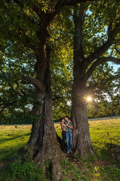 Genç Çift Serbest Zaman Büyük Bir Meşe Ağacının Altında — Stok fotoğraf