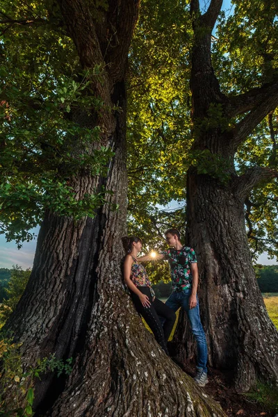 若いカップルの巨大な樫の木の下での余暇 — ストック写真