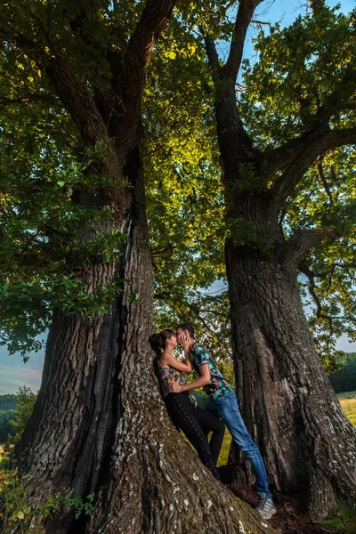 Mladý Pár Volný Čas Pod Obrovský Dub — Stock fotografie