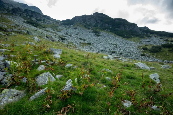 Malebná Krajina Pohoří Turistická Stezka — Stock fotografie