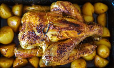 Patates içinde tepsi ile fırında bütün tavuk yavaş pişmiş