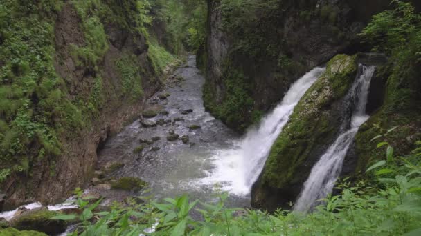 Cascada Hermoso Cañón Durante Día — Vídeo de stock