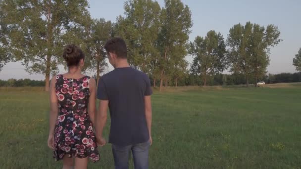 Jong Koppel Lopen Bij Zonsondergang Een Weide — Stockvideo