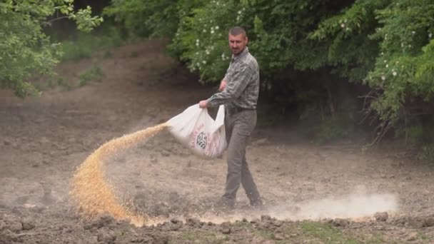 护林员在动物饲养点分散玉米豆 — 图库视频影像