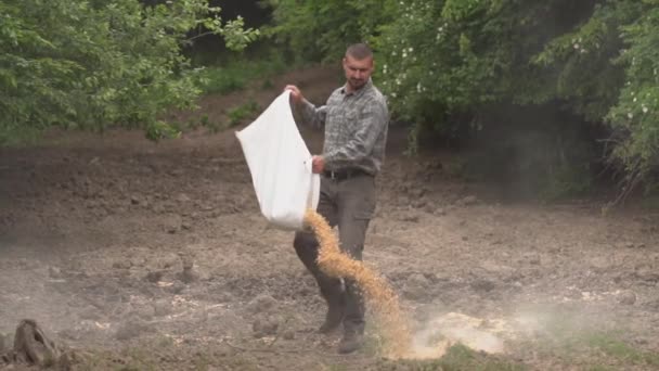 Ranger Dispersing Maïs Bonen Plek Voor Dieren Voederen — Stockvideo