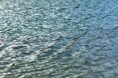 Arka plan bir deniz veya büyük göl sakinleştirmek su ile
