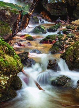 Güzel manzara nehir gündüz yeşil bitkiler tarafından çevrili yemyeşil Kanyon ile