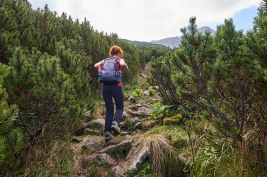 Orta yaşlı kadın gündüz dağlarda izinde hiking sırt çantası ile