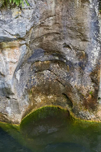 Güzel Manzara Nehir Gündüz Yeşil Bitkiler Tarafından Çevrili Yemyeşil Kanyon — Stok fotoğraf