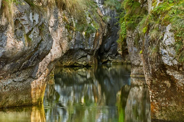 Vackert Landskap Med Flod Grönskande Kanjon Omgiven Gröna Växter Dagtid — Stockfoto