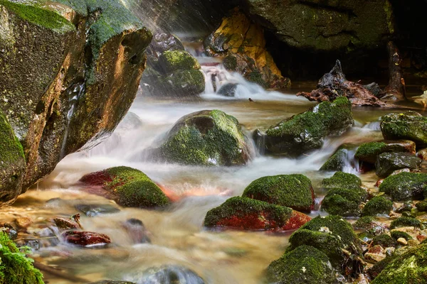Красивий Краєвид Річкою Пишному Каньйоні Оточеному Зеленими Рослинами Вдень — стокове фото