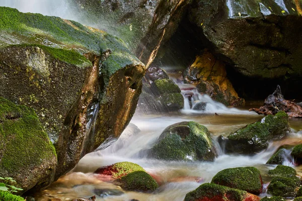 Güzel Manzara Nehir Gündüz Yeşil Bitkiler Tarafından Çevrili Yemyeşil Kanyon — Stok fotoğraf