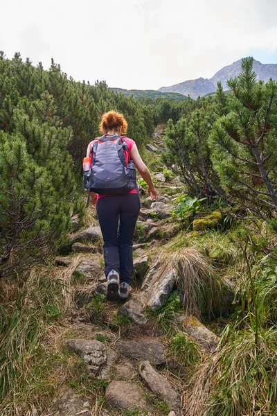 Orta Yaşlı Kadın Gündüz Dağlarda Izinde Hiking Sırt Çantası Ile — Stok fotoğraf