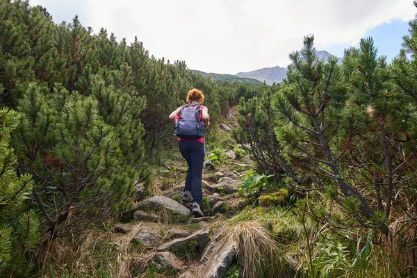 Donna Mezza Età Con Zaino Escursionismo Sul Sentiero Montagna Giorno — Foto Stock