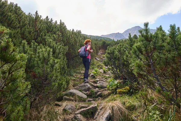 Středního Věku Žena Batohem Turistické Stezky Horách Dne — Stock fotografie