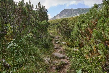 Rocky Dağları'nda yürüyüş iz ile manzara