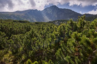 Rocky Dağları'nda yürüyüş iz ile manzara