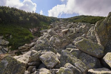 Rocky Dağları'nda yürüyüş iz ile manzara